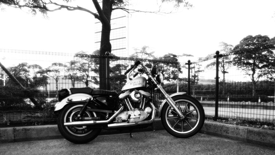 94'XLH1200の画像03